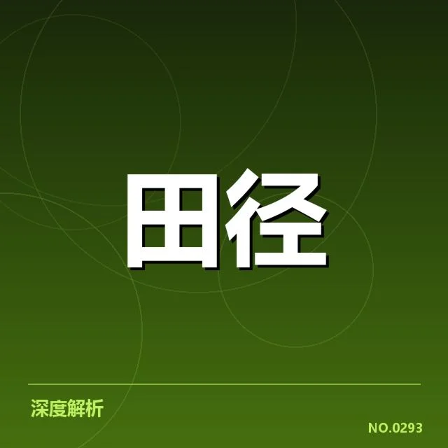 已确认的技术细节与训练方法